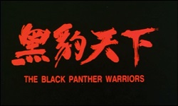 Black Panther Warriors 004